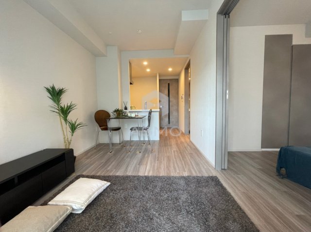 SK RESIDENCES SHINSAIBASHI (旧SK RESの居間写真