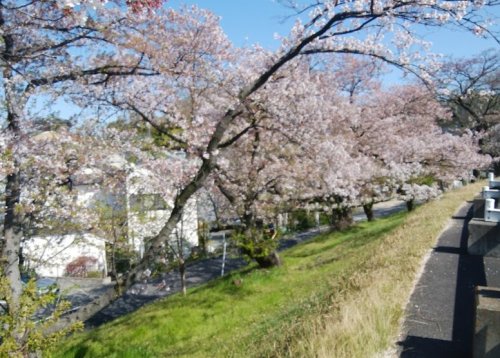 【名古屋市守山区町南のアパートの公園】