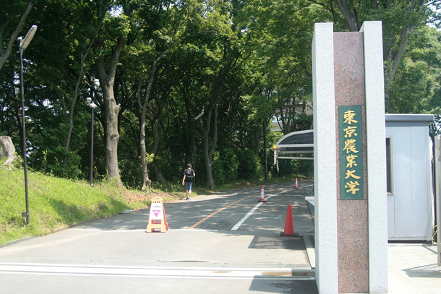 【厚木市長谷のマンションの大学・短大】