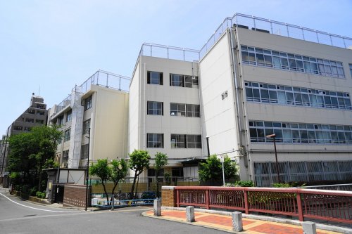 小学校　中野区立 向台小学校（小学校）まで479m