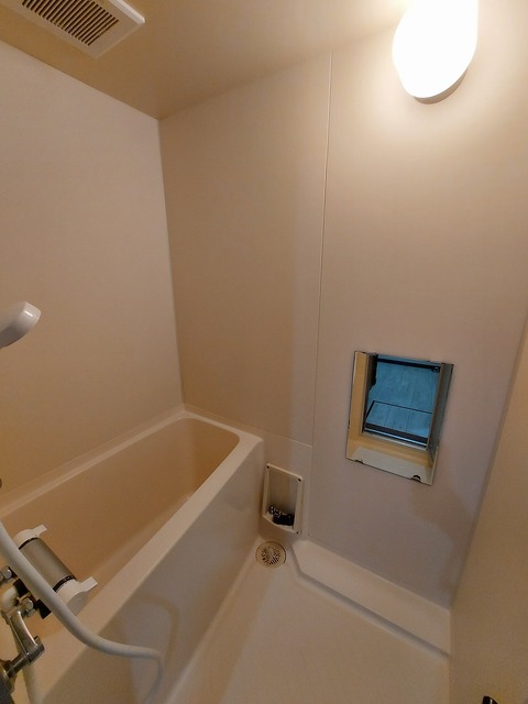 バス・シャワールーム　写真は別号室のです