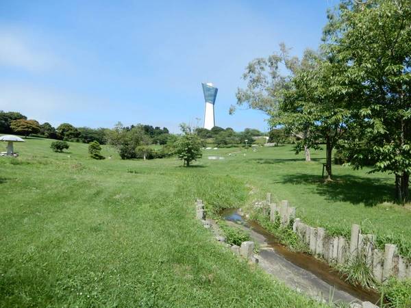 公園　岬公園（公園）まで1200m
