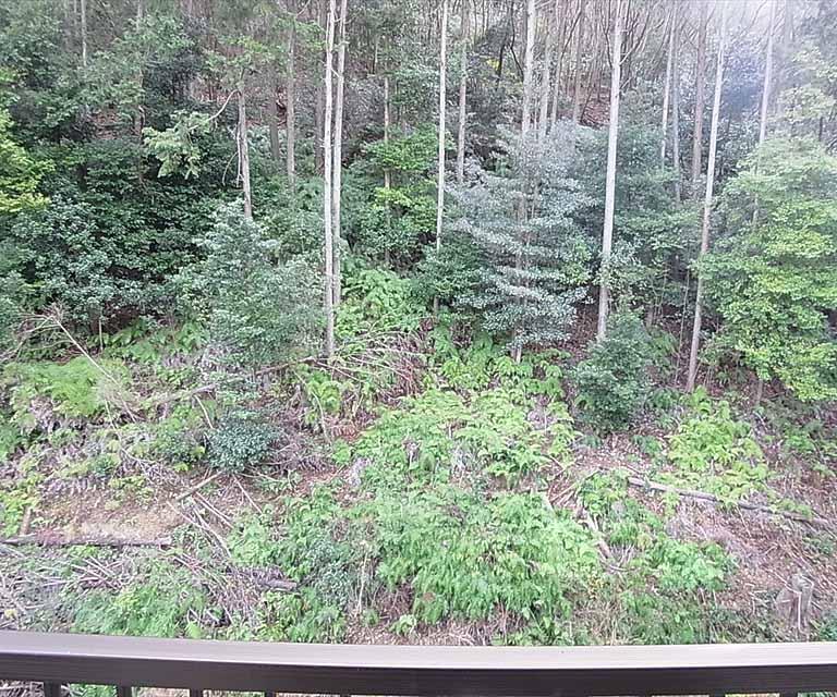 眺望　室外風景