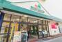 スーパー　マルエツ中原店（スーパー）まで291m