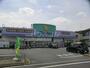 ドラックストア　ウェルパーク 葛飾水元店（ドラッグストア）まで3084m