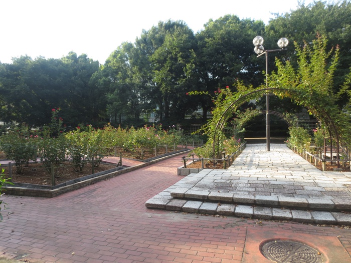公園　大井戸公園（公園）まで200m