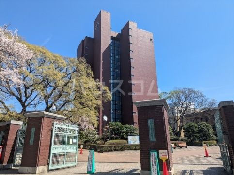 大学・短大　日本大学文理学部（大学・短大）まで186m