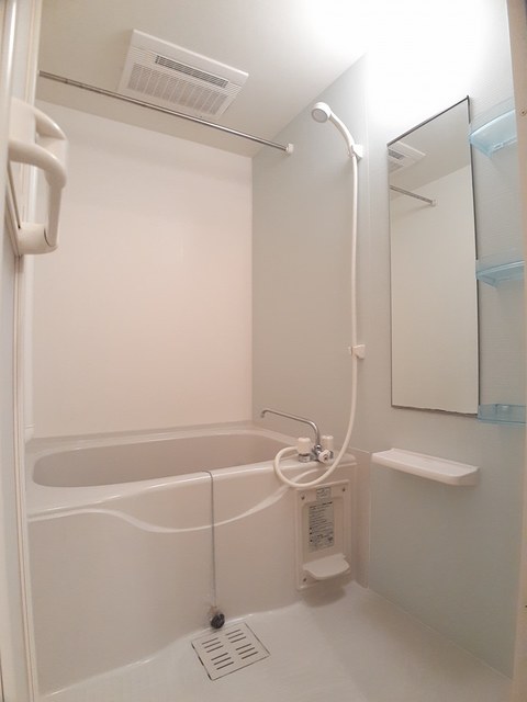 ラゴーア・アネシス IIの風呂写真