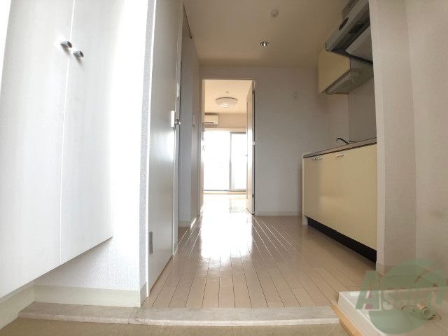 玄関　玄関からの目線です。シックで落ち着いた雰囲気の部屋ですね。