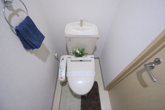 トイレ　※別号室の写真です