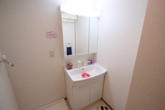 洗面設備　※別号室の写真です
