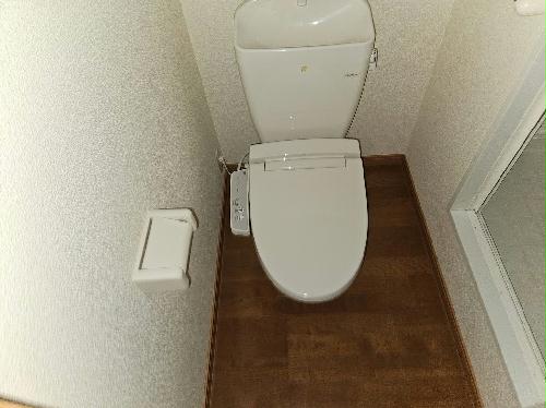 トイレ　備品や設備仕様は号室等により異なります現地をご確認下さい。