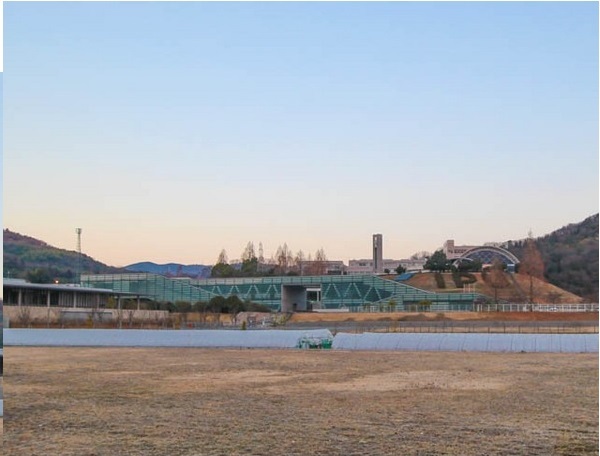 【岡山市中区雄町のマンションの図書館】