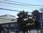 病院　独立行政法人国立病院機構函館病院（病院）まで1667m