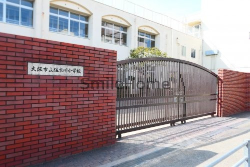 小学校　大阪市立住吉川小学校（小学校）まで641m