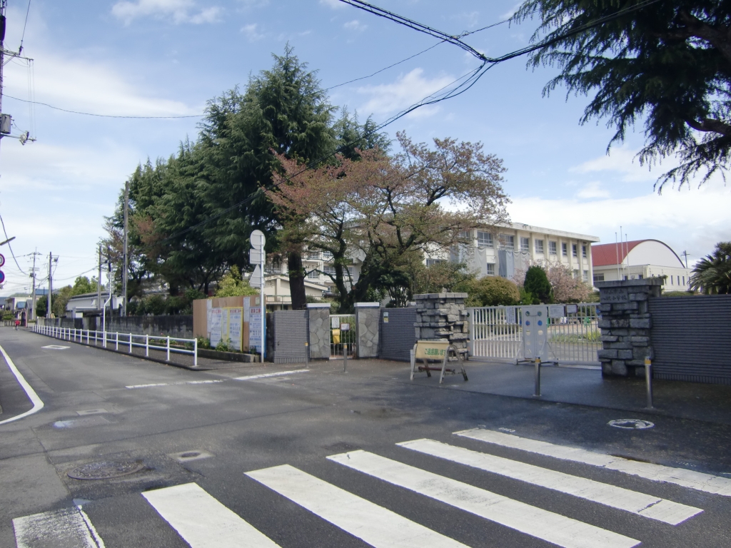 小学校　松山市立八坂小学校（小学校）まで459m