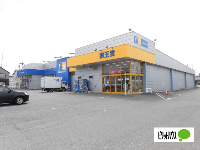 ドラックストア　薬王堂盛岡青山店（ドラッグストア）まで896m