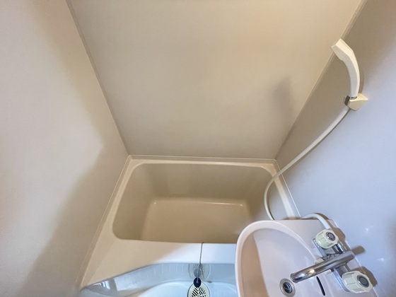 バス・シャワールーム　※別部屋の写真です