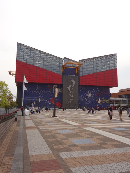 その他　海遊館（その他）まで500m