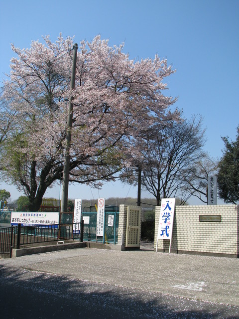 小学校　宇都宮市立陽光小学校（小学校）まで51m