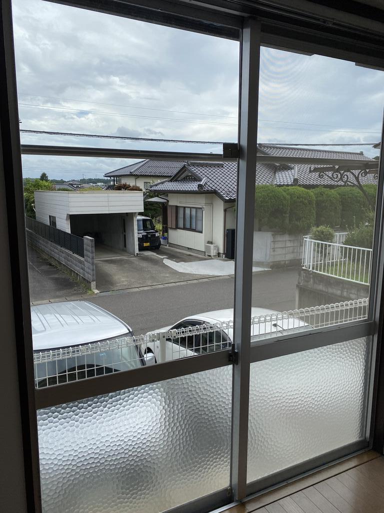 ヒナタゴールドのその他写真
