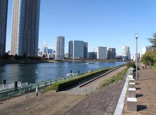 公園　越中島公園（公園）まで335m