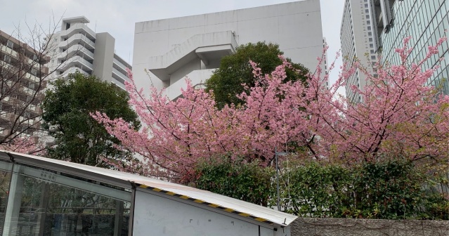 コンビニ　セブンイレブン港区汐彩橋店（コンビニ）まで98m