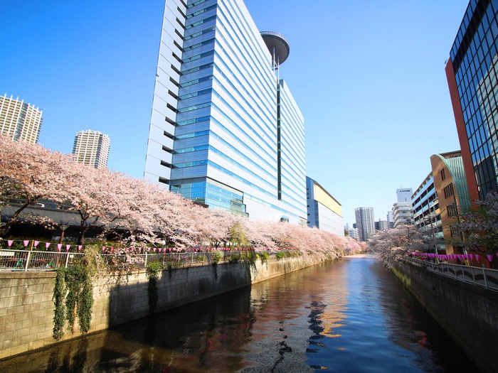 公園　目黒川（公園）まで0m