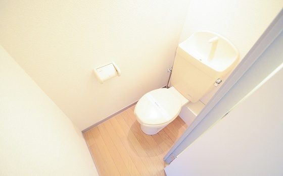 トイレ　※別号室の写真です