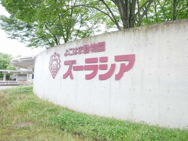 その他　よこはま動物園　ズーラシア（その他）まで1452m
