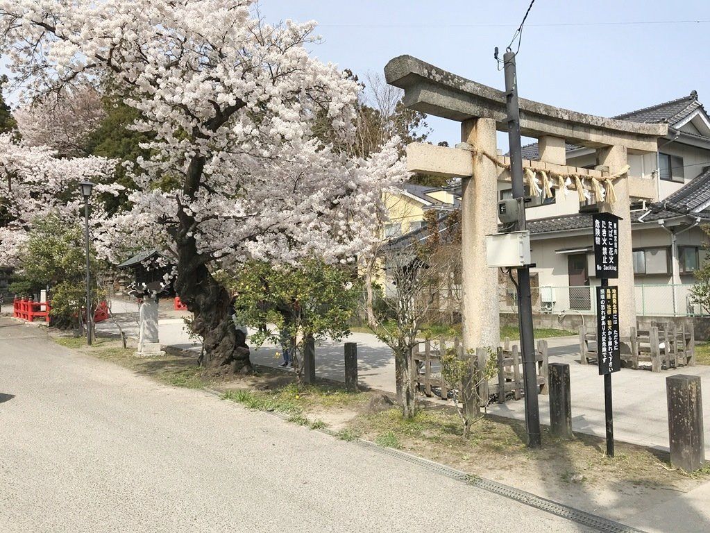 コンビニ　ファミリーマート宮町４丁目店（コンビニ）まで480m