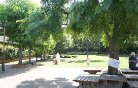 公園　世田谷区立 ねこじゃらし公園（公園）まで700m