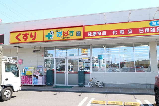 ドラックストア　どらっぐぱぱす八潮大瀬店（ドラッグストア）まで317m