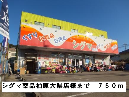 ドラックストア　シグマ薬品柏原大県店様（ドラッグストア）まで750m