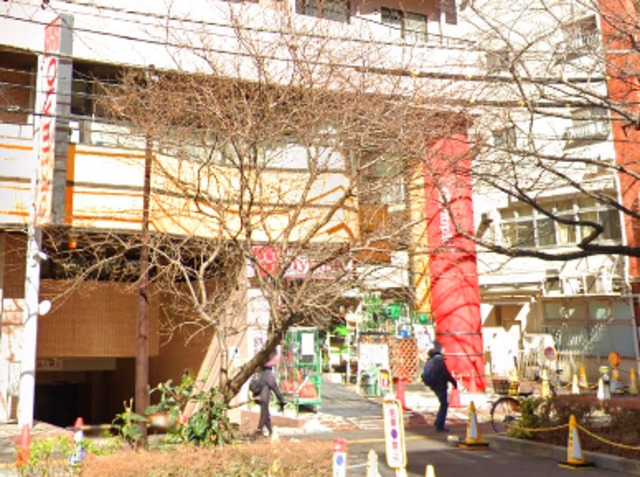 ホームセンター　Olympic中村橋店（ホームセンター）まで851m