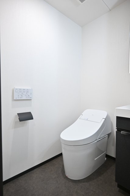 トイレ　トイレも気になるポイント