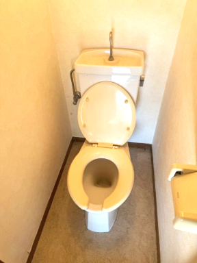 トイレ　※写真は別室です