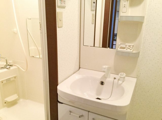 洗面設備　※イメージ　同物件別号室の写真