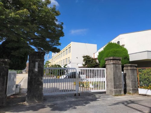 小学校　江南市立古知野南小学校（小学校）まで232m