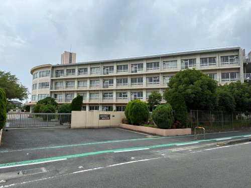 小学校　丸田小学校（小学校）まで343m