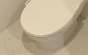 トイレ　※別部屋の参考写真です。