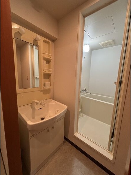 洗面設備　シャワードレッサー付きです！