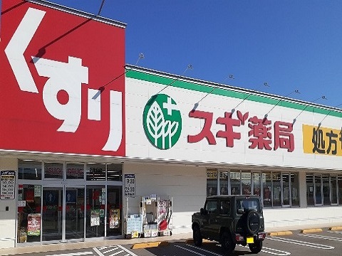 ドラックストア　スギ薬局　南富山店（ドラッグストア）まで1100m