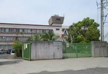 中学校　和泉中学校（中学校）まで352m