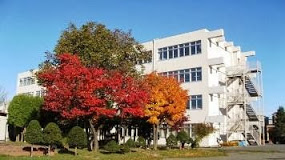 小学校　札幌市立北野平小学校（小学校）まで536m