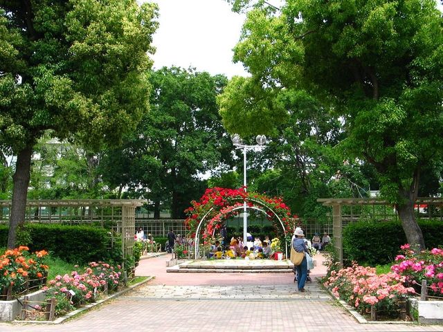 幼稚園・保育園　上甲子園幼稚園（幼稚園・保育園）まで106m