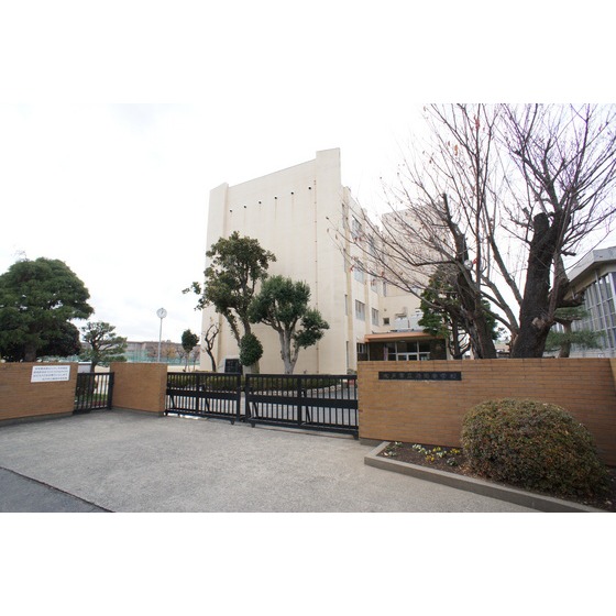 中学校　水戸市立緑岡中学校（中学校）まで2900m