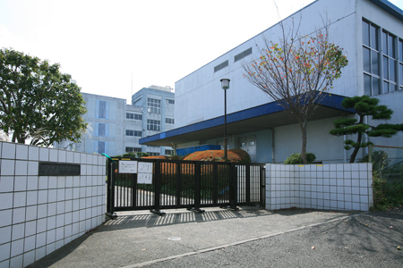 小学校　藤沢市立駒寄小学校（小学校）まで267m