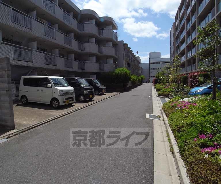 庭