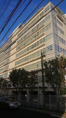 大学・短大　九州歯科大学（大学・短大）まで500m